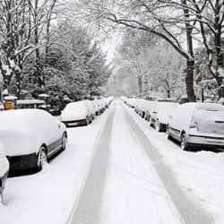 Snowed-in rows of cars along a Springfield street during winter.