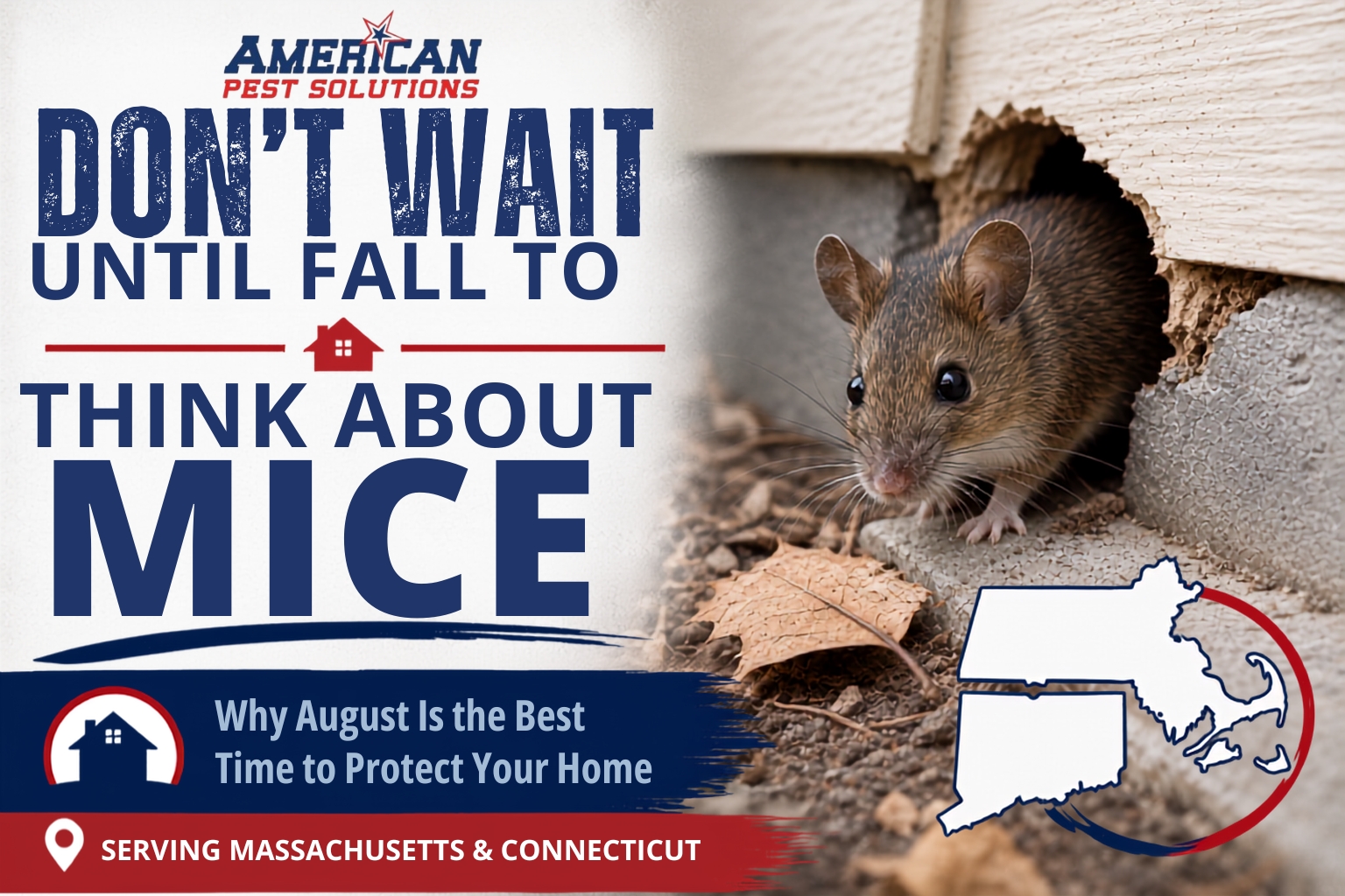 Photo of a mouse exiting a home via an entry point, the blog title, and an icon of MA and CT