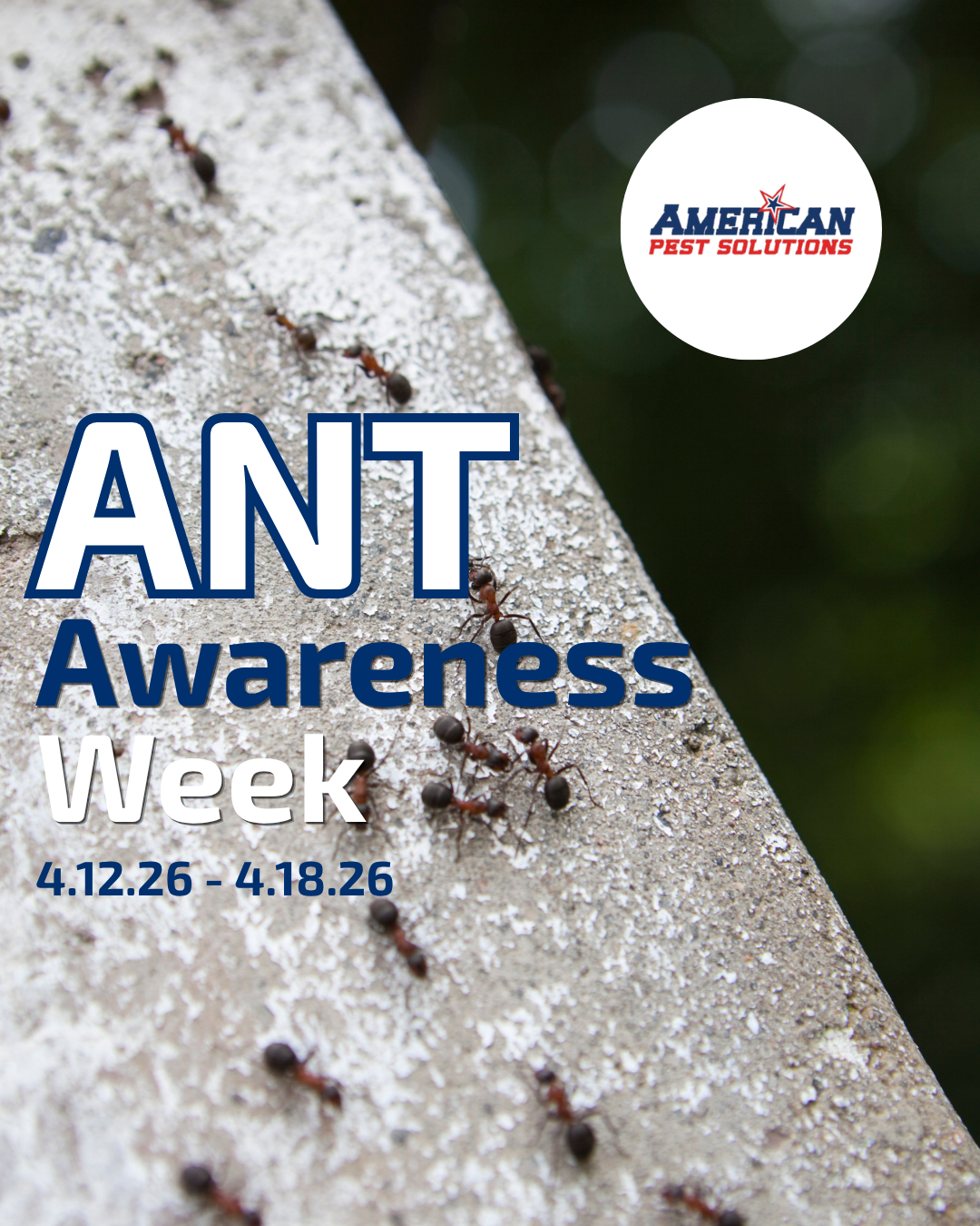 ant awareness week aps