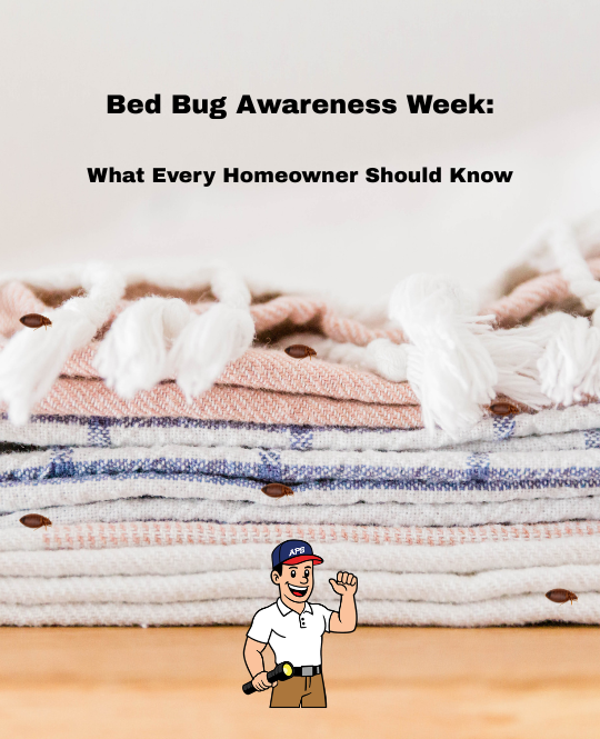 Blog Title with image of a stack of blankets with 6 bedbugs hidden and our logo