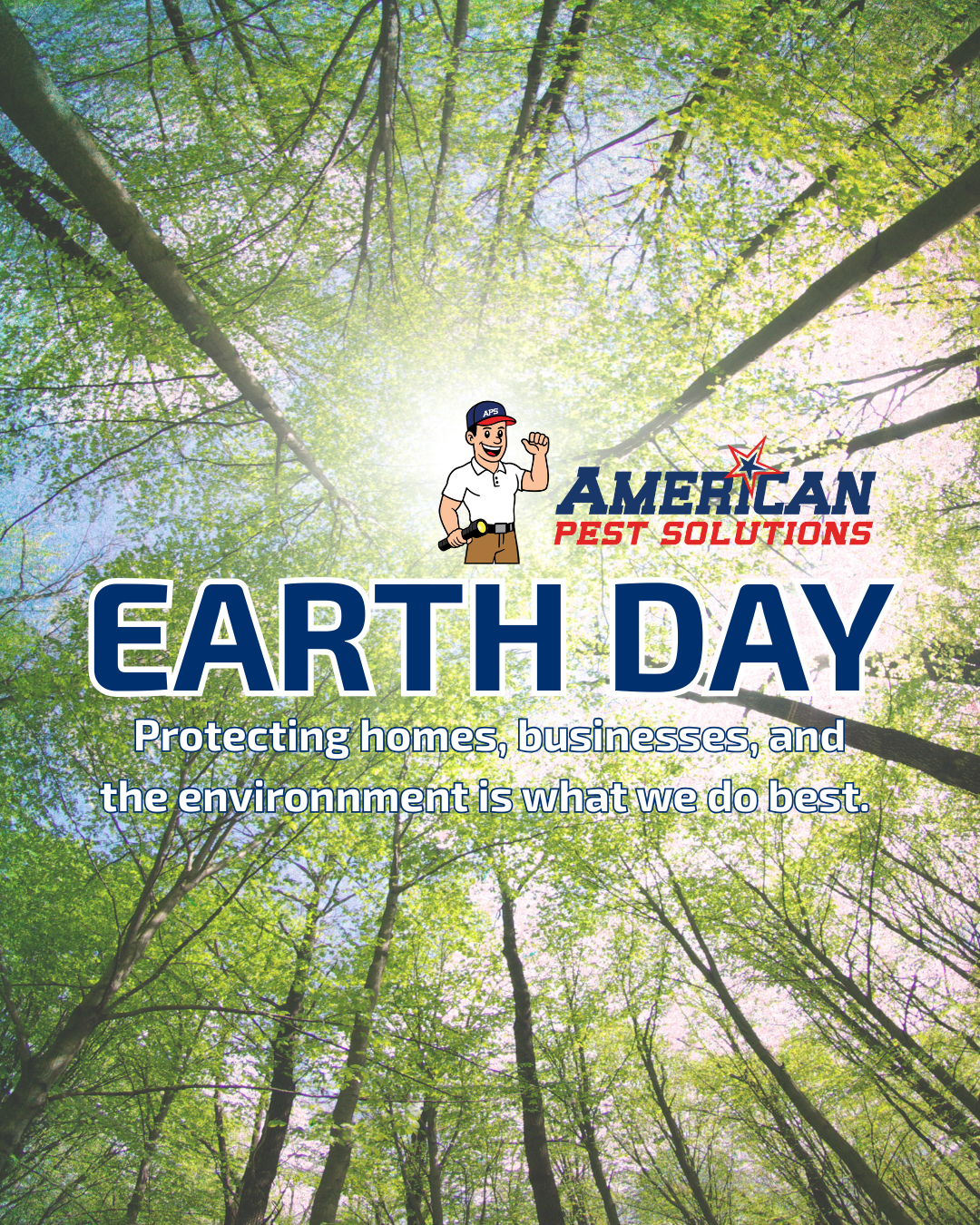 green tree and blue sky