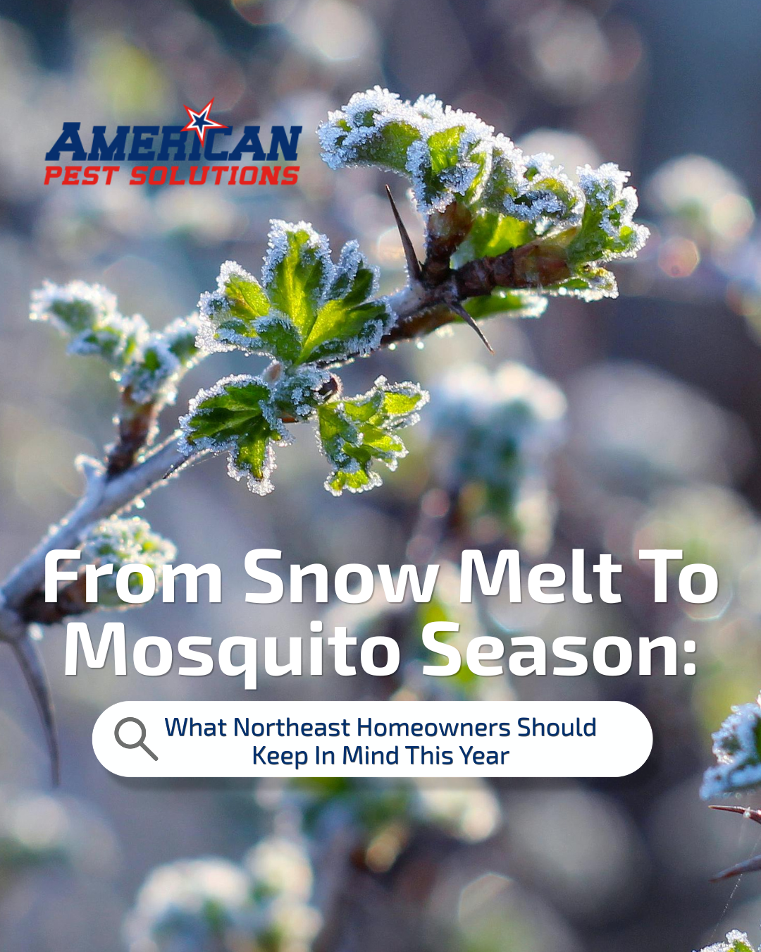 snow melt mosquito season thawing plant