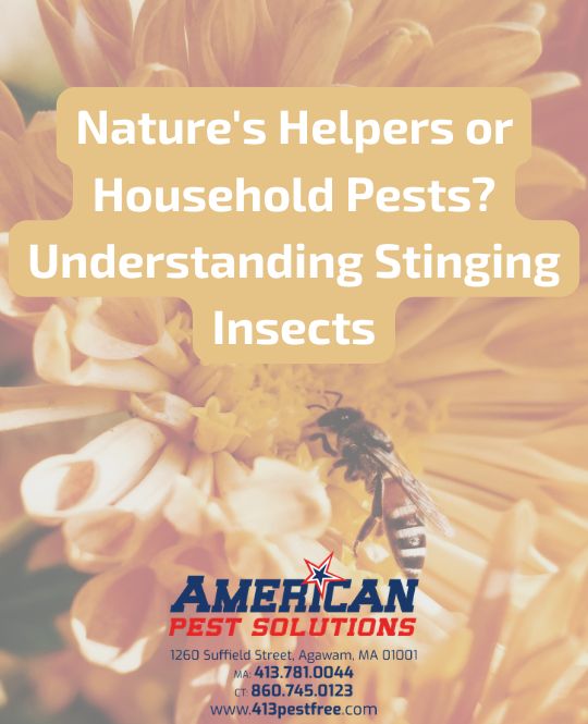 A yellowjacket and flower background with our logo and blog title