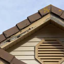A front-close-up view of a house's attic and roof with damaged wood